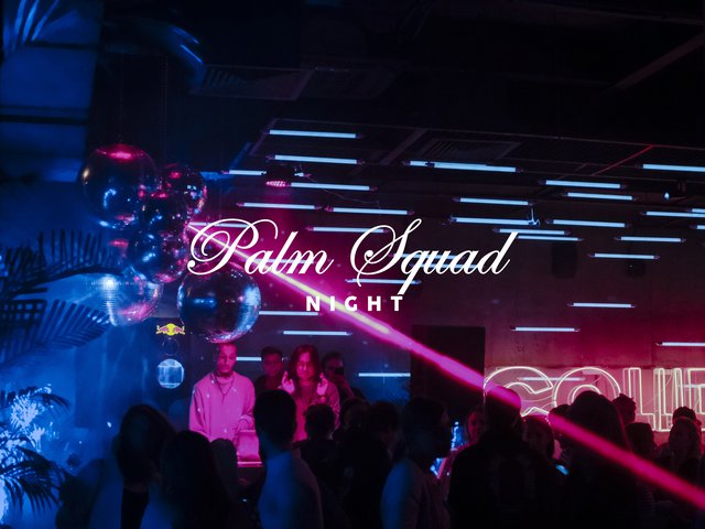 Preview image of PALM SQUAD NIGHT 10 I ANNIVERSARY IN COLLIDER